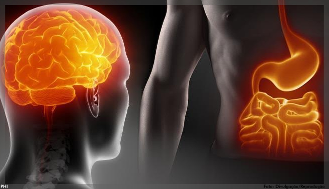 Pesquisa probiótica da J&J explora as conexões entre microbioma, sistema nervoso, sono e saúde da pele
