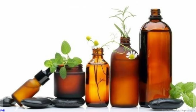 Estudo comprova atividade anti-inflamatória do óleo de Priprioca
