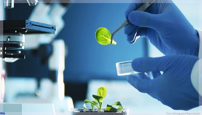 Grandes farmacêuticas investem em biotecnologia para manter expansão