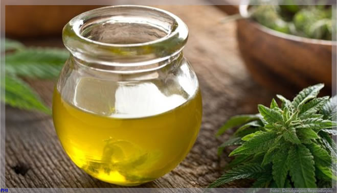 Maconha medicinal impulsiona indústria bilionária