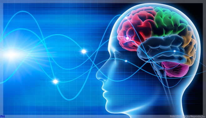 Pesquisa sobre relação entre medo e dor recebe prêmio em neurociência