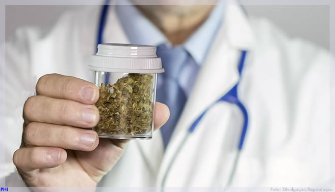 Anvisa se posiciona em relação a crítica do CFM sobre cultivo de Cannabis Medicinal