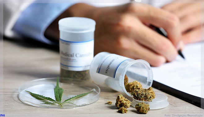 Cannabis medicinal: aberto prazo para contribuições