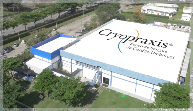 Cryopraxis investe em pesquisa para uso de células-tronco em Alzheimer