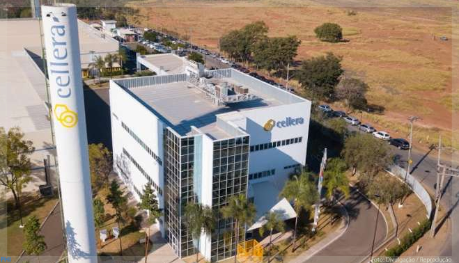 Janssen firma parceria com Cellera Farma para representação de medicamentos no Brasil
