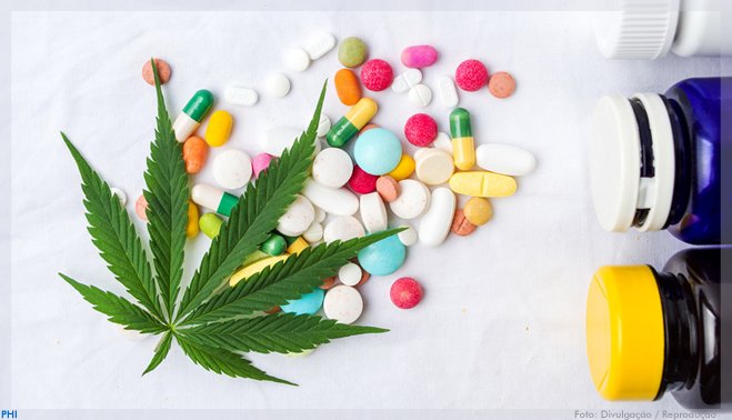 Unicamp e Entourage firmam parceria de pesquisa inédita sobre cannabis para uso medicinal