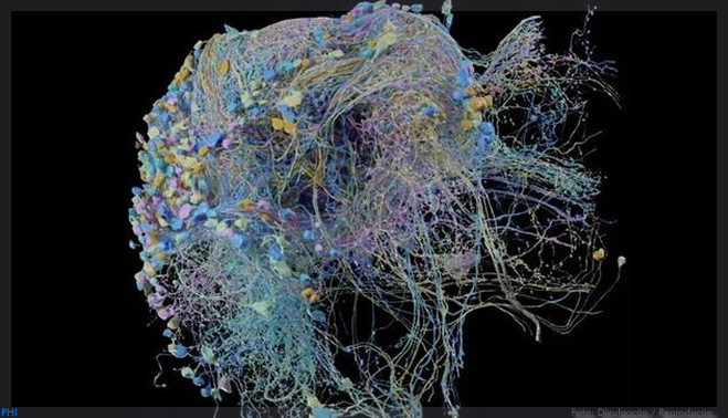 Esta pesquisa criou o mapa cerebral mais extenso já publicado
