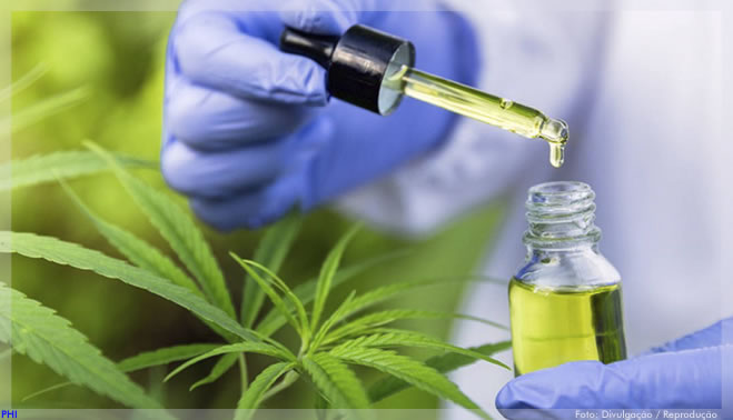 Anvisa autoriza primeiro produto à base de Cannabis