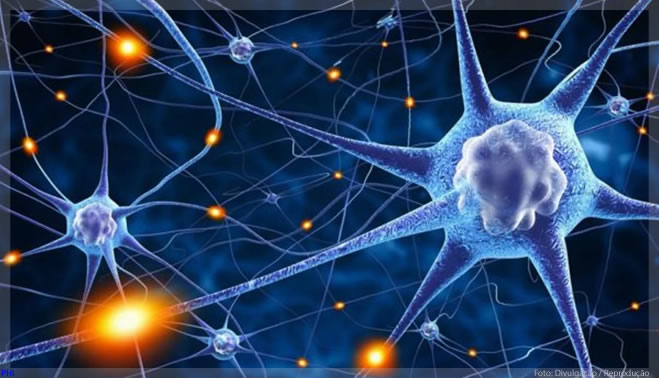 Pesquisa da Unicamp descobre como coronavírus pode infectar neurônios humanos