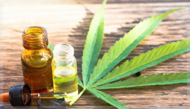 Mercado deve ter novos medicamentos de cannabis só em 2021
