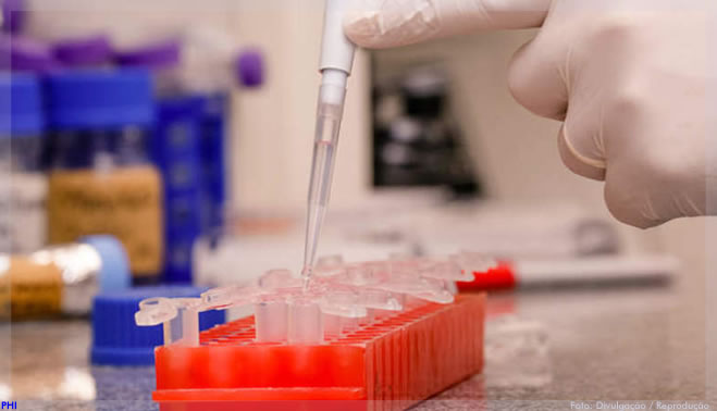Molécula conhecida por poder analgésico tem também ação contra candidíase