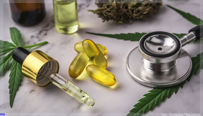 Isolamento social aumenta prescrição de CBD nos tratamentos psiquiátricos