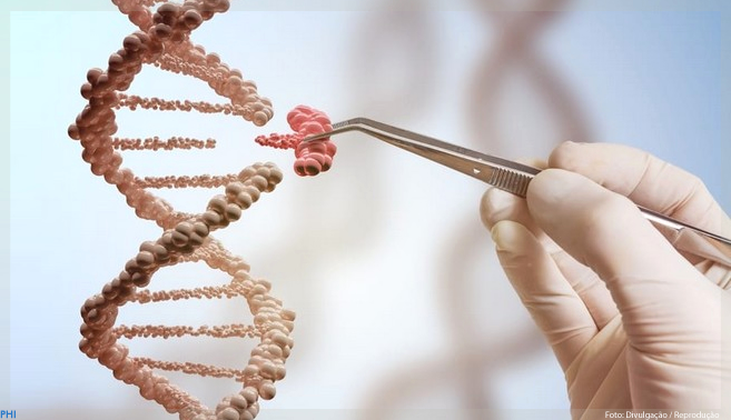 Anvisa aprova o registro da primeira terapia gênica no Brasil
