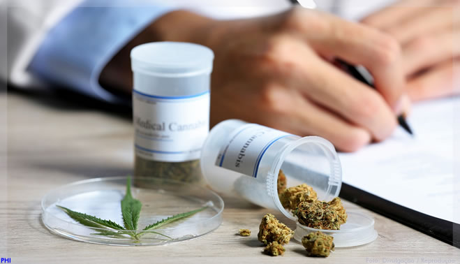 Dobra a importação de medicamentos à base de cannabis