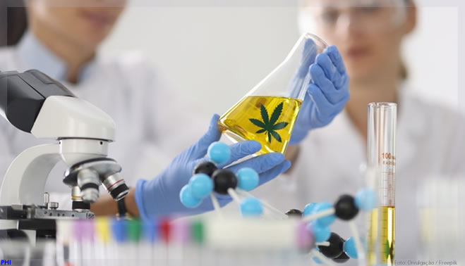 Idor e Entourage Phytolab vão realizar estudo do uso de Cannabis em doenças neurológicas