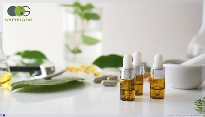 Mercado brasileiro de Cannabis medicinal começa a se materializar