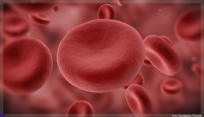 Tratamento com plasma pode reduzir gravidade de casos da COVID-19, diz estudo