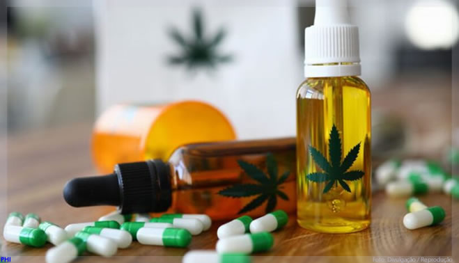 GreenCare entra na fabricação de medicamento à base de cannabis