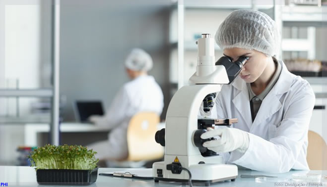 Indústria nacional pensa em estratégias para produzir IFAs