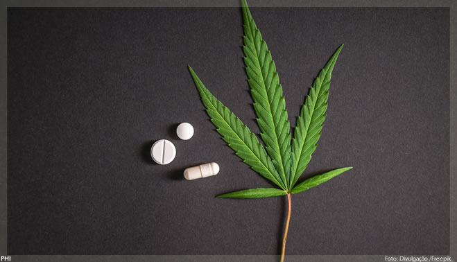 Laboratório de BH recebe aval da Anvisa para fabricar produtos de cannabis