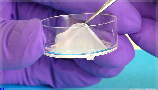 Pele 3D: entenda como a tecnologia 3D está revolucionando as indústrias cosmética e farmacêutica