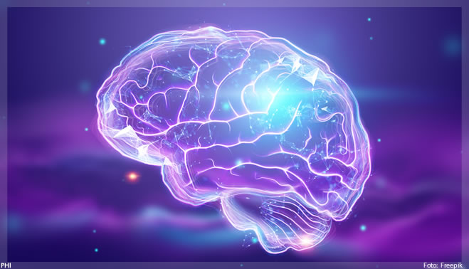 Pesquisadores encontram causa genética das deficiências intelectuais