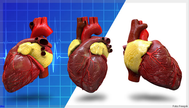 Esta startup brasileira tem o sonho de criar órgãos usando bioimpressoras 3D