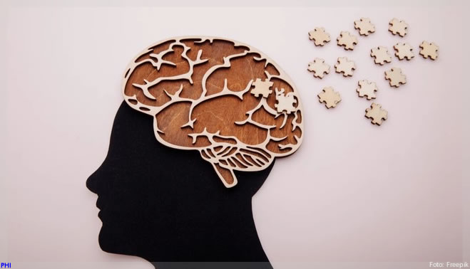 Cientistas descobrem as causas da progressão do Alzheimer no cérebro