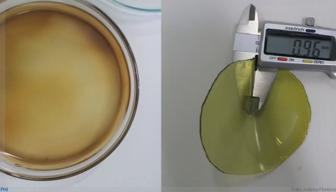Grupo da Unesp cria biomaterial para tratar incontinência urinária associada ao diabetes gestacional