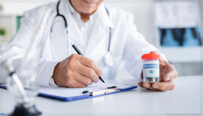 Cannabis: autorizações da Anvisa aumentam 72%