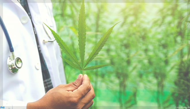 Zion MedPharma obtém registro de seu primeiro produto à base de cannabis