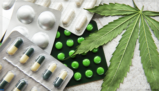 Medicamentos à base de Canabidiol seguem inacessíveis