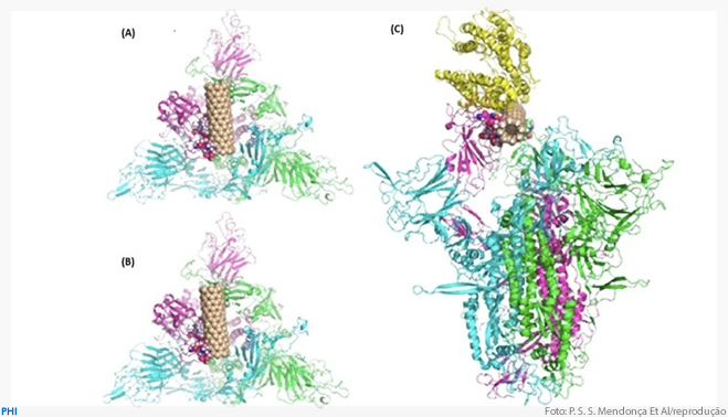 Estudo sugere que nanotubos de silício teriam potencial para inativar o SARS-CoV-2