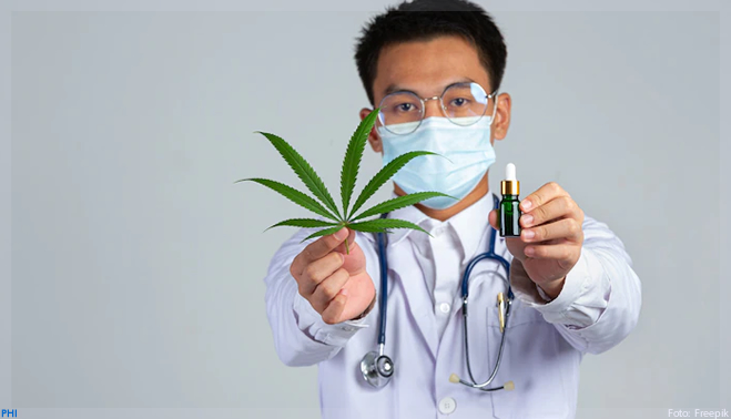 Potencial do mercado de cannabis chega a US$ 30 bilhões no Brasil