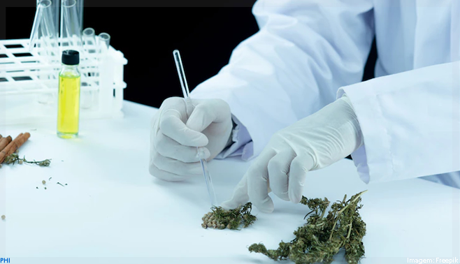 Zion Medpharma e Tegra Pharma lançam a ENDOGEN, maior Healthtech de cannabis medicinal no Brasil
