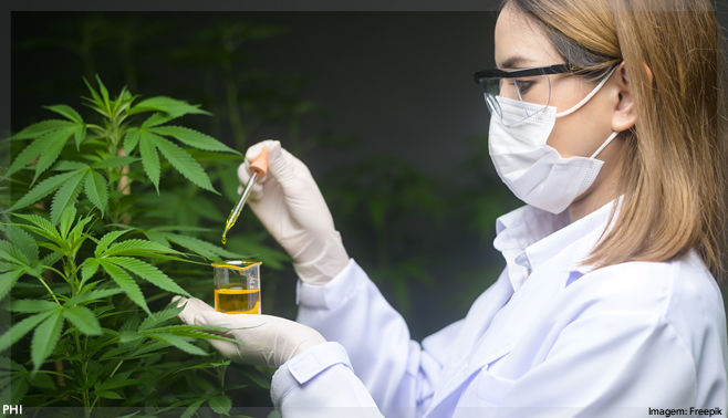 Endogen e Cellera Farma se unem para produzir cannabis medicinal no Brasil