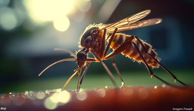 Incremento de R$ 312 milhões para a assistência farmacêutica reforça combate à dengue